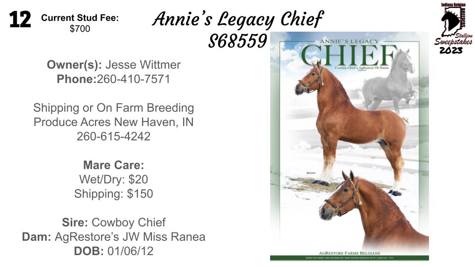 Indiana Belgian Draft Horse Association